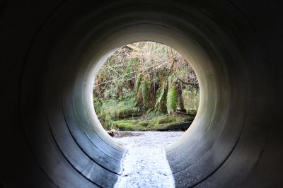 Culvert Repair in Tuscaloosa, AL