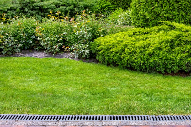 Lawn Drainage in Birmingham, AL