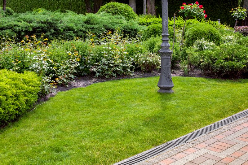 Landscape Drainage Experts